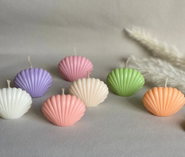 Shell candles | Sea shell candle | Pastel colour candle